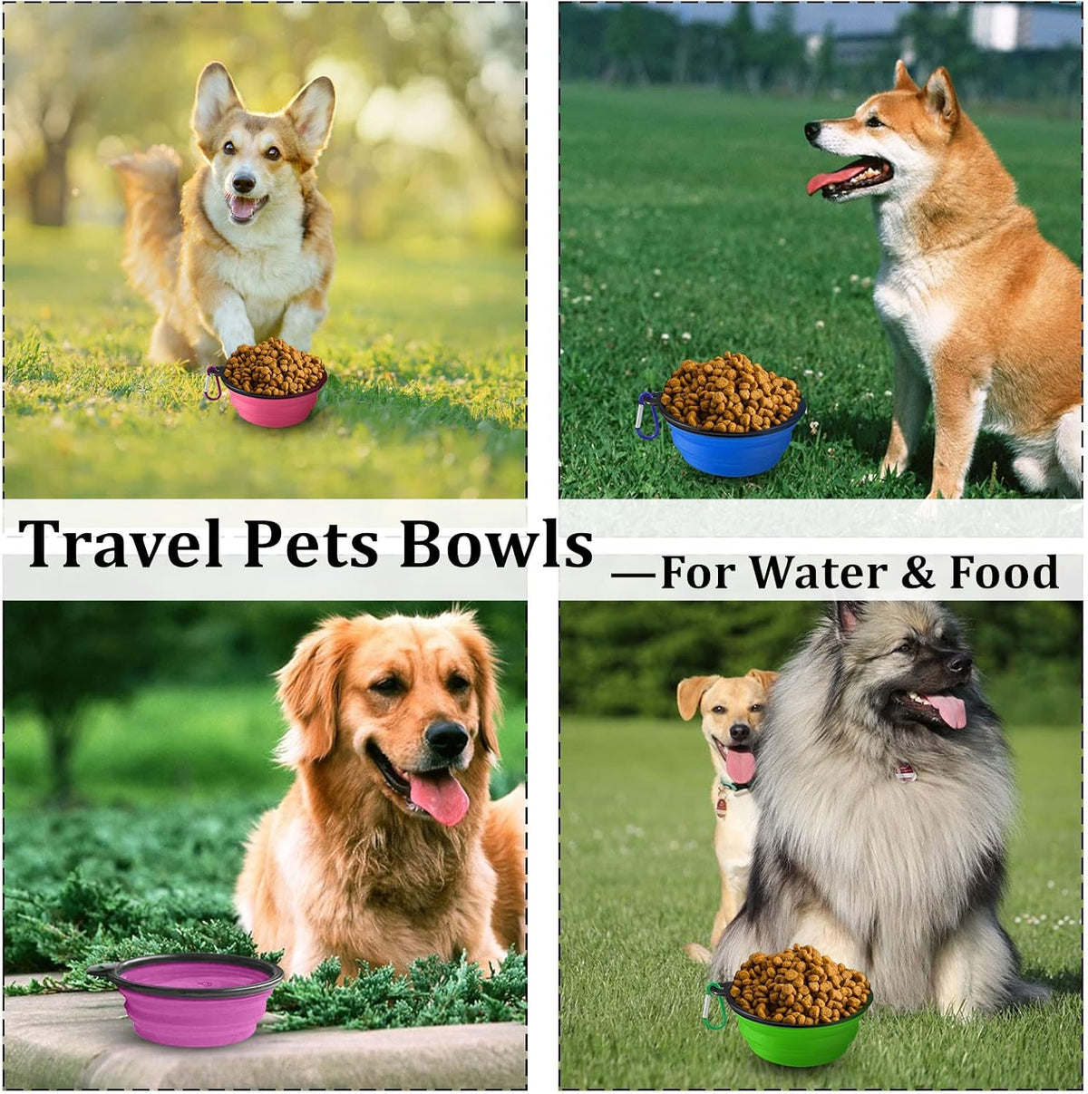 4 Pack Collapsible Dog Bowl Portable Foldable Travel Pets Bowls Cats Water Feeding Food Bowls Silicone Expandable Cup Dish Puppies for Walking Camping Outdoors with Carabiner Clip